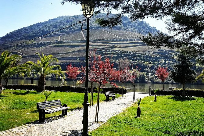 Douro Valley: Food and Wine Small Group Tour From Porto - Tour Duration and Accessibility