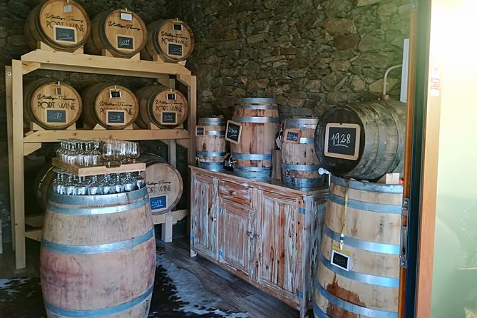 Douro Valley: Food and Wine Small Group Tour From Porto - Multilingual Guide and Vegetarian Option