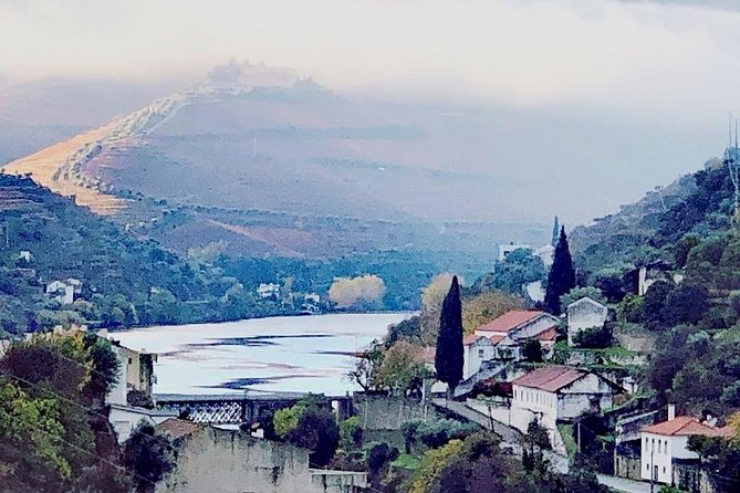 Douro Valley: Food and Wine Small Group Tour From Porto - Scenic Drive Along the Douro River