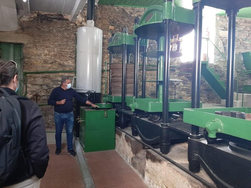 Douro Valley: From Casal De Loivos to Pinhão Walk and Wine - Key Points