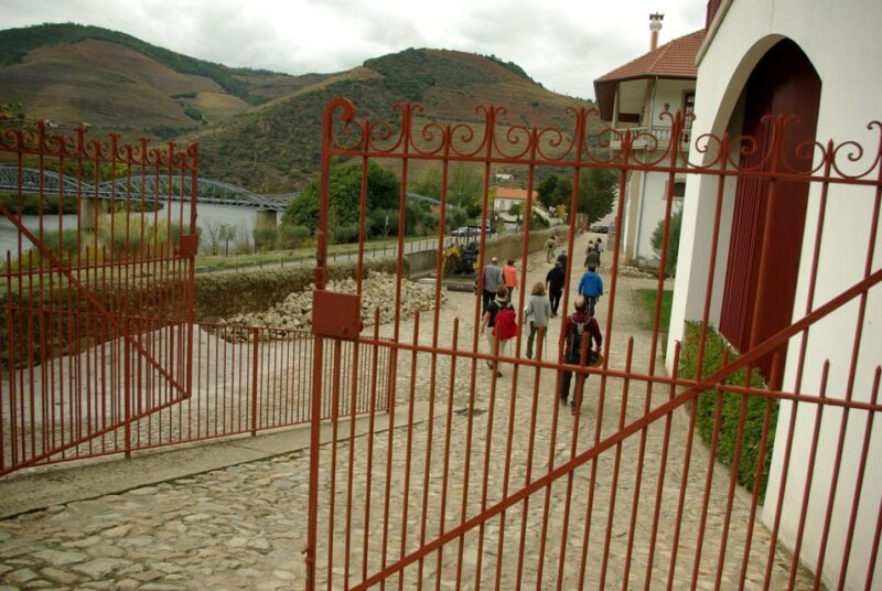 Douro Valley: From Casal De Loivos to Pinhão Walk and Wine - Itinerary Highlights