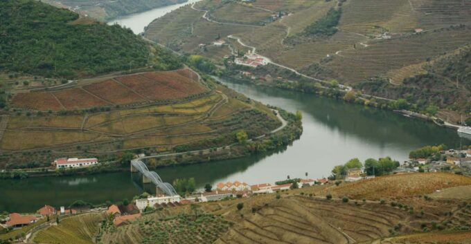 Douro Valley: From Casal De Loivos to Pinhão Walk and Wine - Vineyard Walk