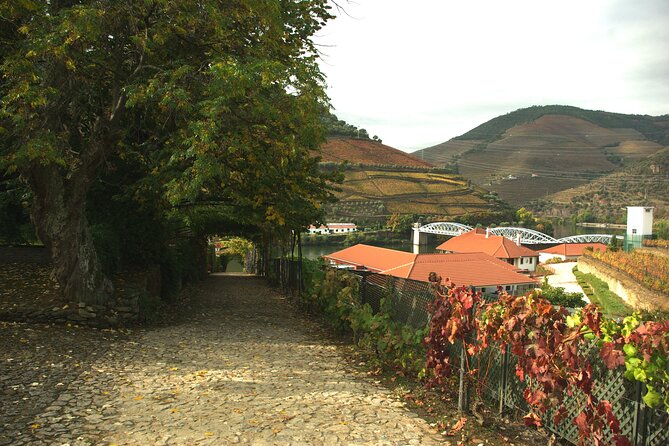 Douro Valley: From Casal De Loivos to Pinhão, Walk and Wine Tour - Tour Overview