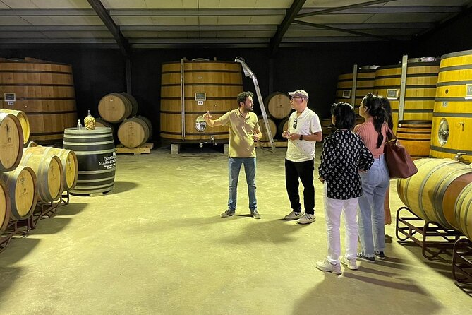 Douro Valley Full Day Boat Ride With Wine Tasting - Scenic Boat Ride