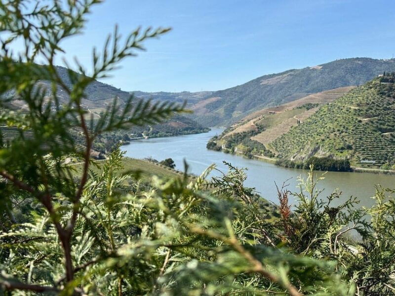 Douro Valley Full Day Tour From Lisbon - Important Information