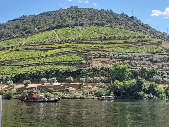 Douro Valley Full Day Tour From Lisbon - Cancellation Policy