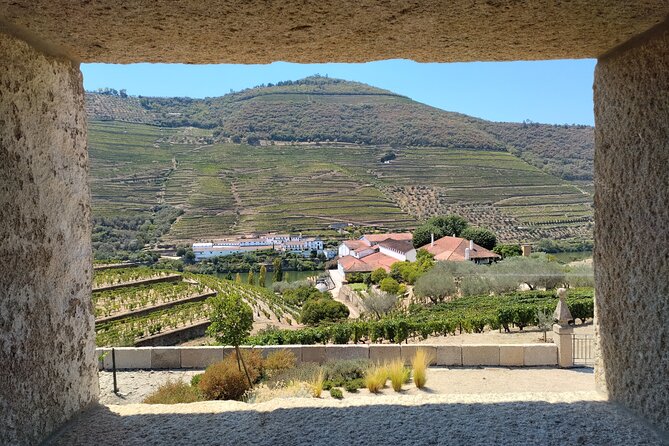 Douro Valley Full Experience With Limited Small Group - Tour Overview