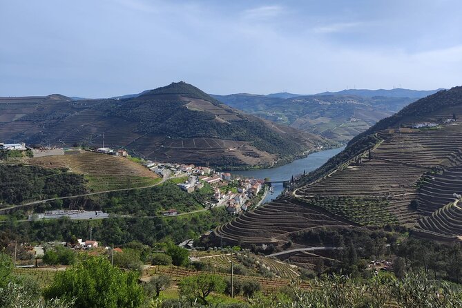 Douro Valley Full Experience With Limited Small Group - Inclusions and Accessibility