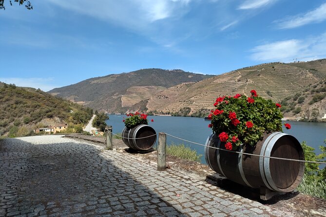 Douro Valley Full Experience With Limited Small Group - Quinta Da Pitarrela Experience