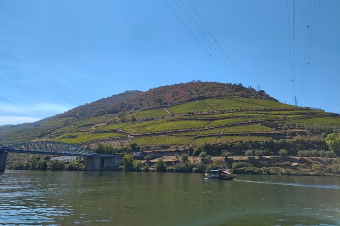 Douro Valley Full Experience With Limited Small Group - Enjoying Douro Valley Wines