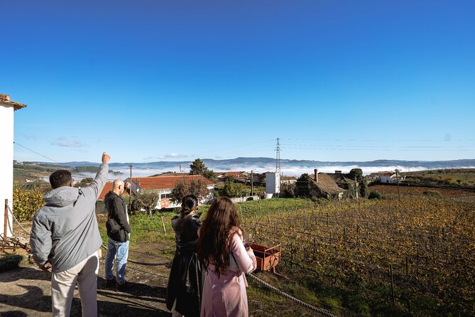 DOURO VALLEY in 8 Pax Groups W/ 2 Wineries, Lunch and 1h Cruise - Enjoy Vegetarian and Vegan Options