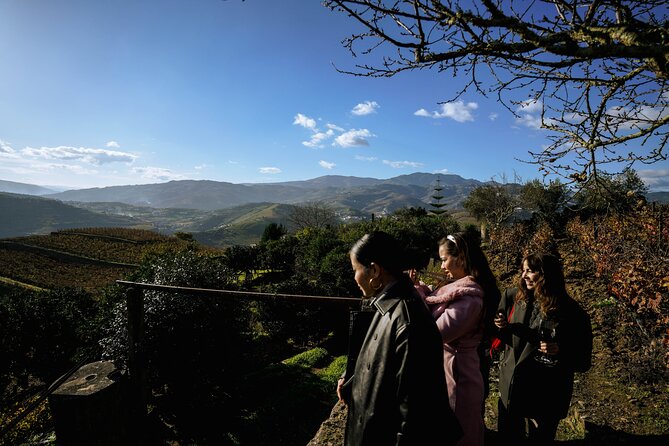 DOURO VALLEY in 8 Pax Groups W/ 2 Wineries, Lunch and 1h Cruise - Roundtrip Transportation and Hotel Pickup