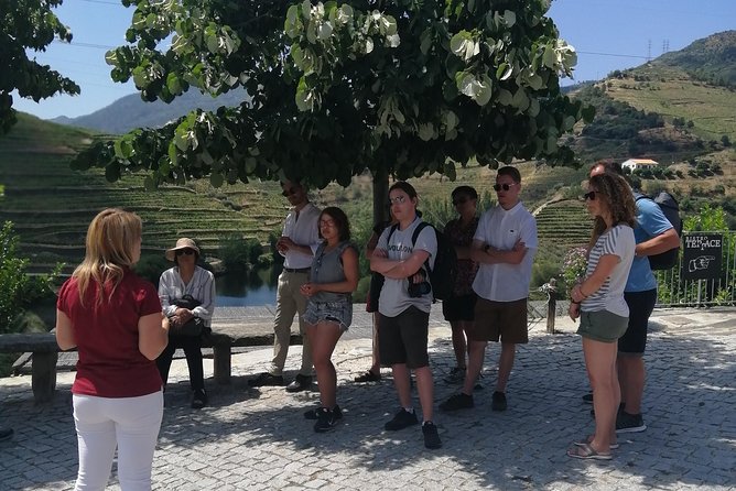 DOURO VALLEY in 8 Pax Groups W/ 2 Wineries, Lunch and 1h Cruise - Local Guides Insights and Commentary