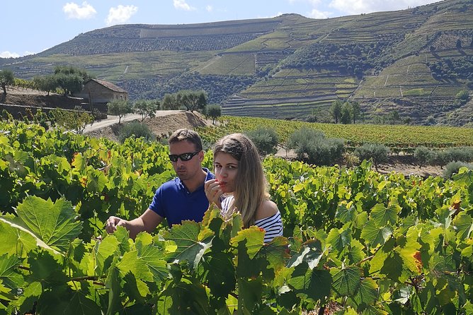 Douro Valley in a Luxury Convertible Mercedes (Only Private Events) - Pricing and Cancellation Policy