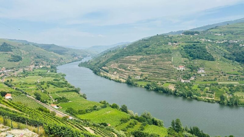 Douro Valley Journey: 4 Cities and Wine Estate All-Included - Amarante Guided Tour