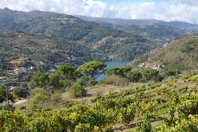Douro Valley - Let's Go for It. - Tour Overview