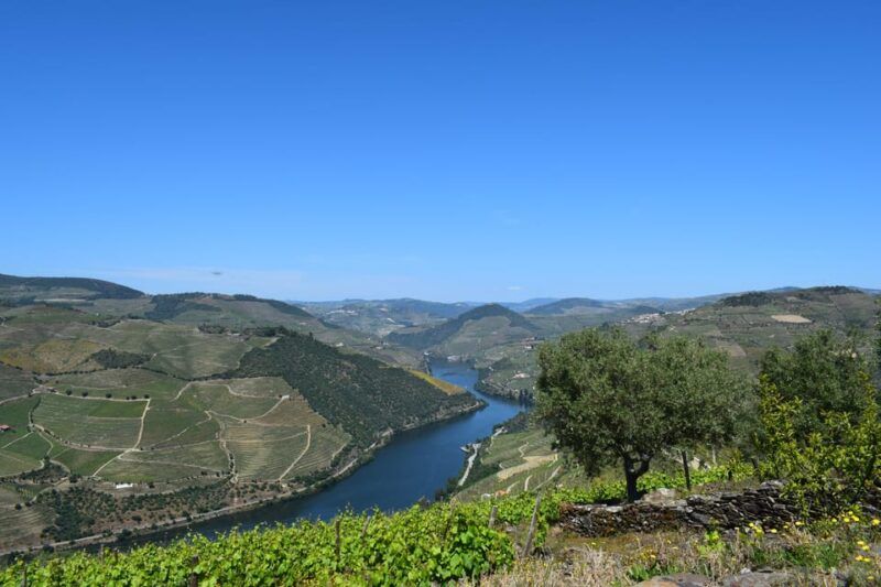 Douro Valley: Offroad Tour With Winery, Lunch and Boat Ride - Adventure and Exploration