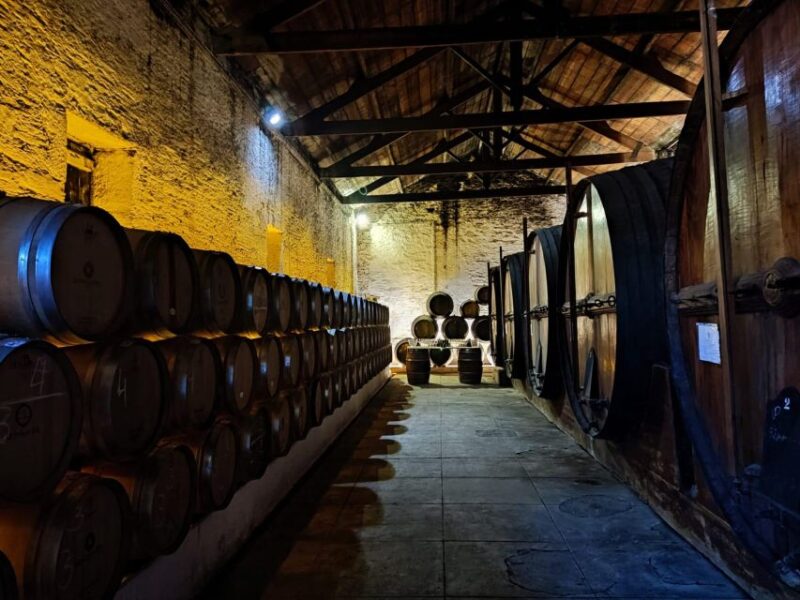 Douro Valley : (Pinhão) Quinta Da Foz - Tour&Tasting 5 WINES - Key Points
