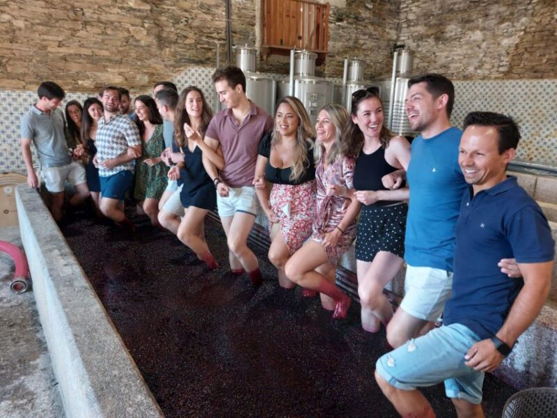 Douro Valley : (Pinhão) Quinta Da Foz - Tour&Tasting 5 WINES - Winery Establishment