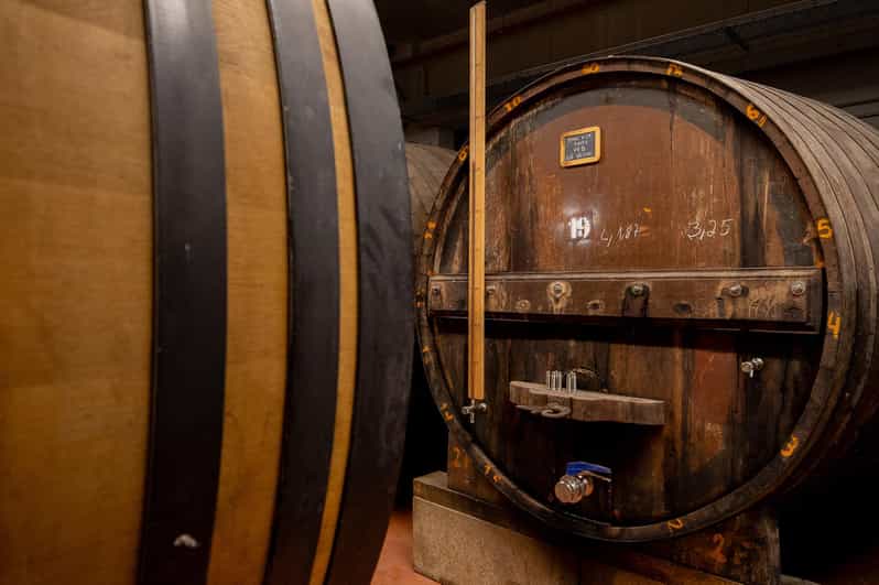 Douro Valley: PORT WINE DISCOVERY JOURNEY - Wine Tasting Experience