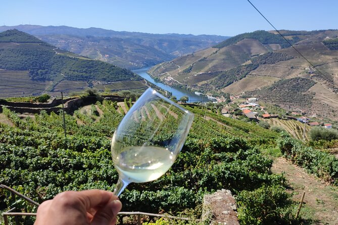 Douro Valley Premium Tours - Private Driver & Guide - Accessibility and Transportation
