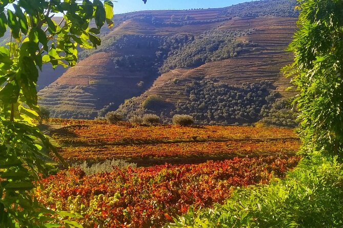 Douro Valley Prime Tour: Wine Tasting, Boat and Lunch From Porto - Meeting and Pickup
