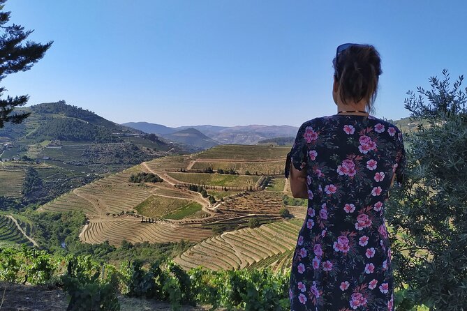 Douro Valley Prime Tour: Wine Tasting, Boat and Lunch From Porto - Explore Vineyards