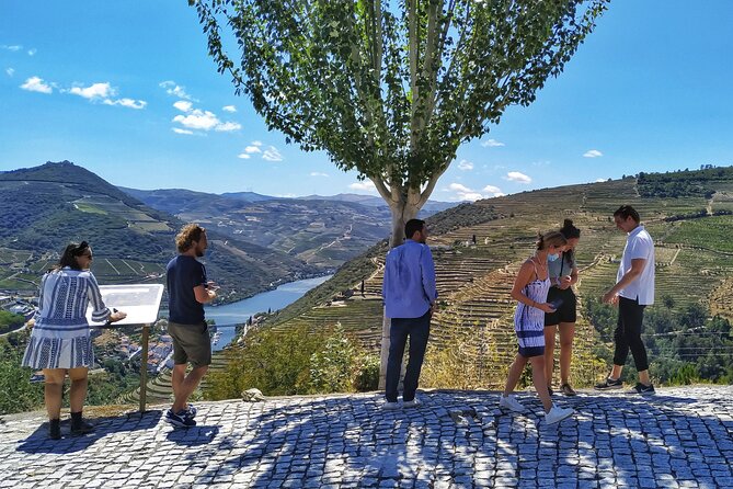 Douro Valley Prime Tour: Wine Tasting, Boat and Lunch From Porto - Authentic Portuguese Cuisine