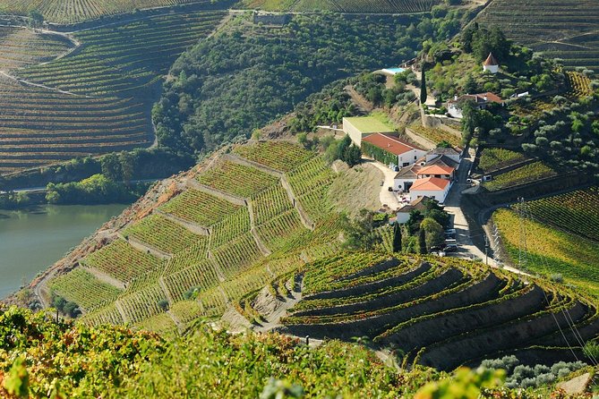 Douro Valley Private Day Tour From Porto - Important Tour Details