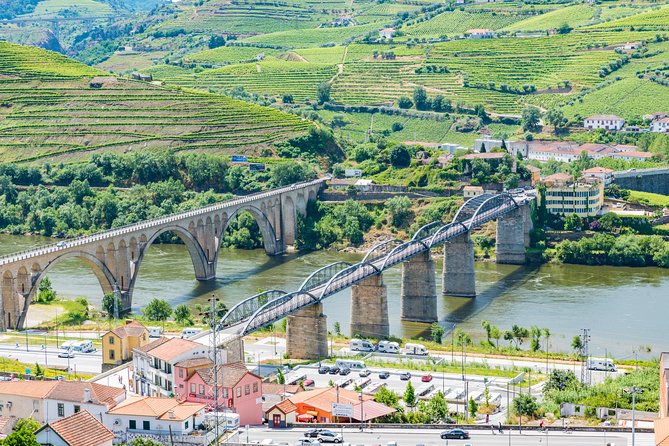 Douro Valley Private Day Tour From Porto - Discovering Local Wineries