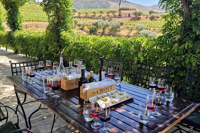 Douro Valley-Private Experience-Specialized Guide, Lunch, Boat,wineries,tastings - Expert Wine Guide Expertise