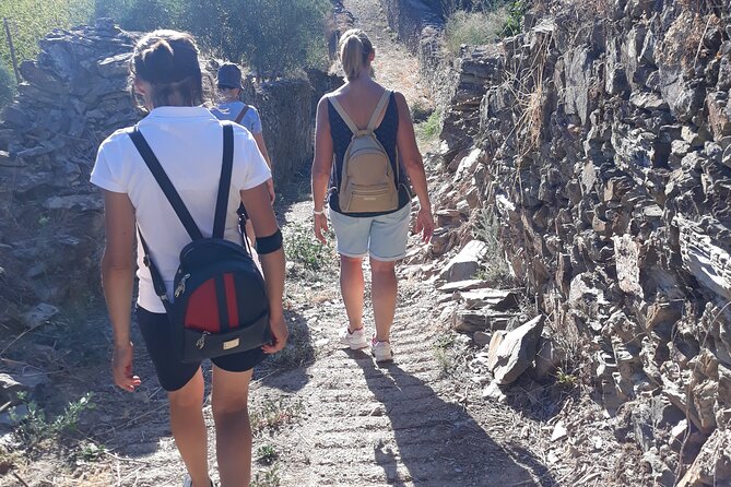 Douro Valley Private Hike&Picnic - Traveler Reviews and Recommendations