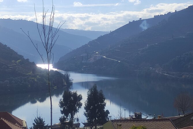 Douro Valley Private Tour - Special Offers and Discounts