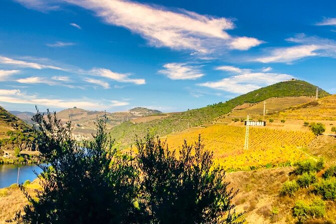 Douro Valley Private Tour: 2 Farms, Lunch & Boat Trip - About Your Stay