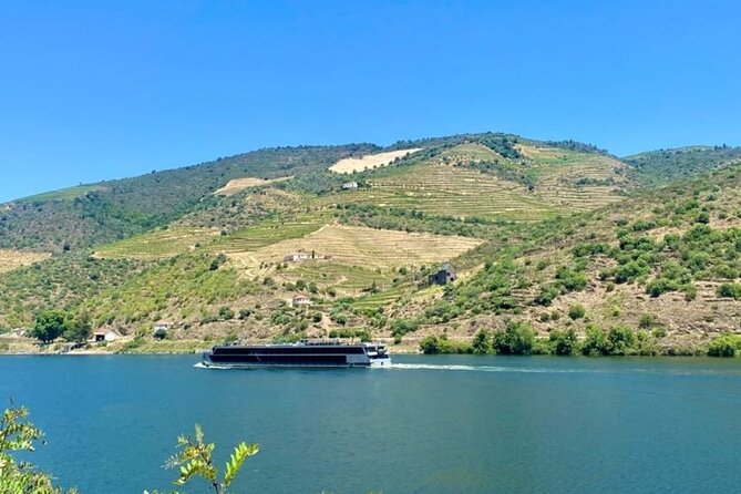 Douro Valley Private Tour: 2 Farms, Lunch & Boat Trip - Visiting the Two Farms