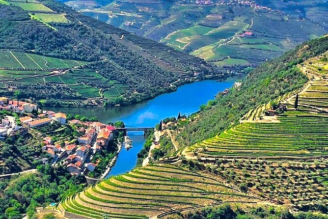 Douro Valley Private Tour: 2 Farms, Lunch & Boat Trip - Lunch and Wine Tasting