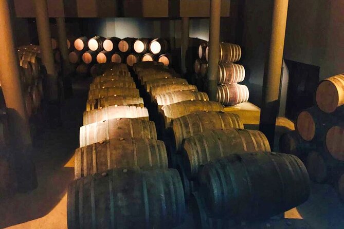 Douro Valley Private Tour: 2 Farms, Lunch & Boat Trip - Olive Oil and Honey Tasting