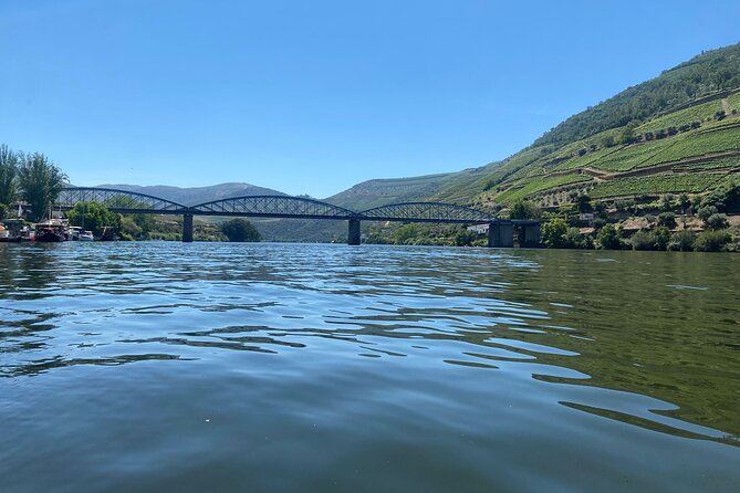 Douro Valley Private Tour: 2 Farms, Lunch & Boat Trip - Accessibility and Participation
