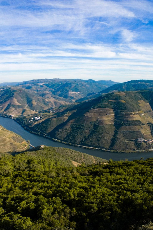 Douro Valley: Private Tour 2 Vineyards & River Cruise - Key Points