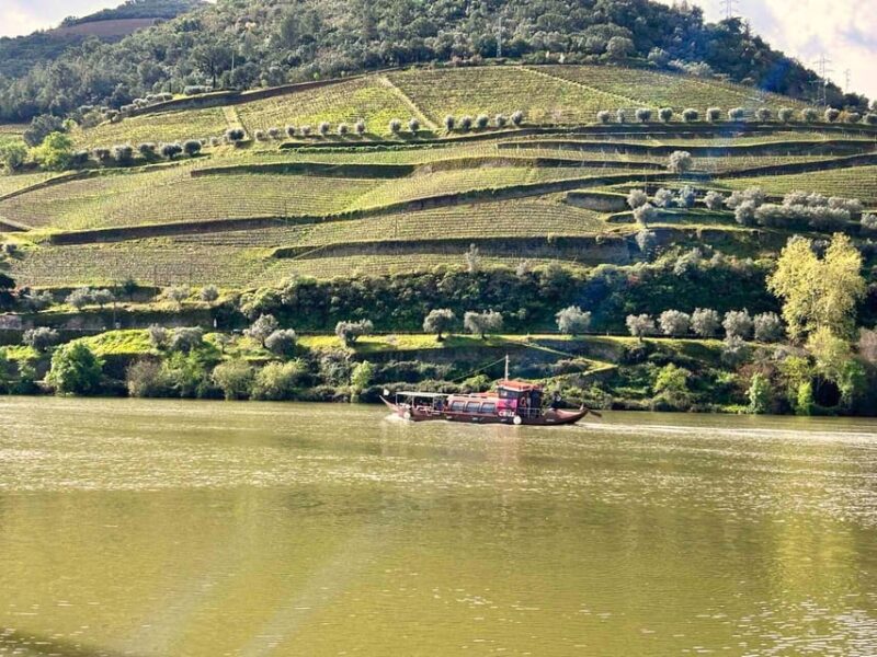 Douro Valley: Private Tour 2 Vineyards & River Cruise - Tour Overview and Pricing