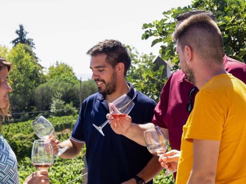 Douro Valley: Private Tour 2 Vineyards & River Cruise - Important Information and Recommendations