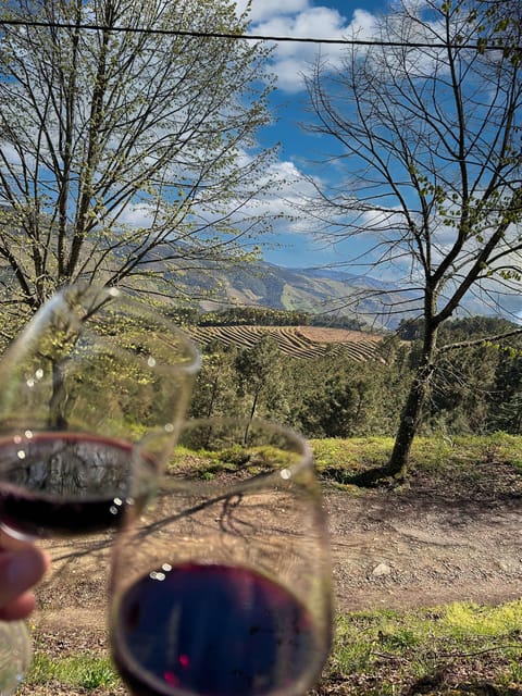 Douro Valley: Private Tour 2 Vineyards & River Cruise - Discover the Douro Valley