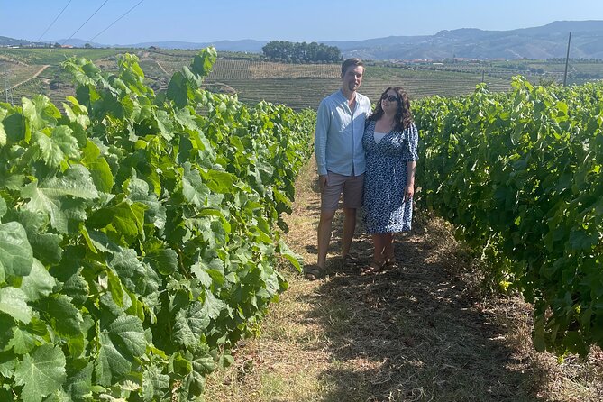 Douro Valley Private Tour - Accessibility and Participation