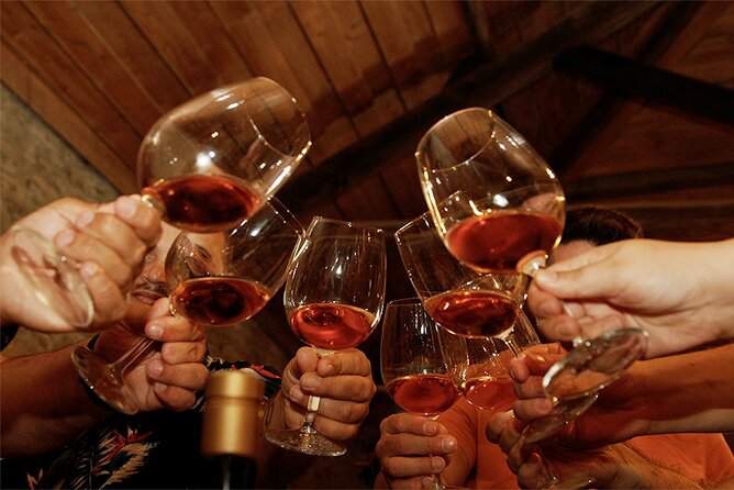 Douro Valley Private Tour Lunch Wine Tastings and River Cruise - Spectacular Scenery
