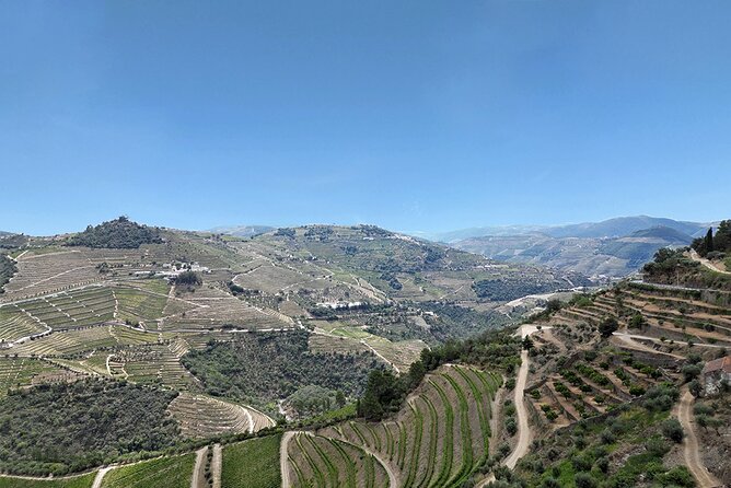 Douro Valley Private Tour Lunch Wine Tastings and River Cruise - Commendable Guide Service