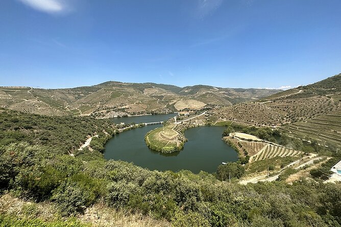 Douro Valley Private Tour Lunch Wine Tastings and River Cruise - Vegetarian Meal Suggestions