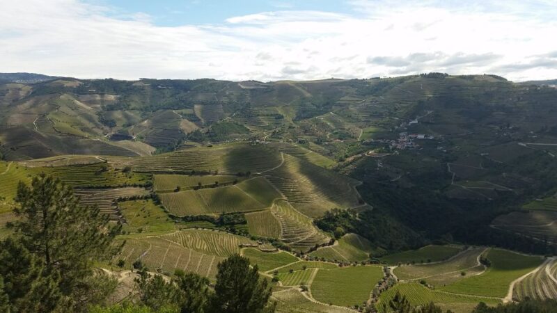 Douro Valley Private Tour - Booking Information