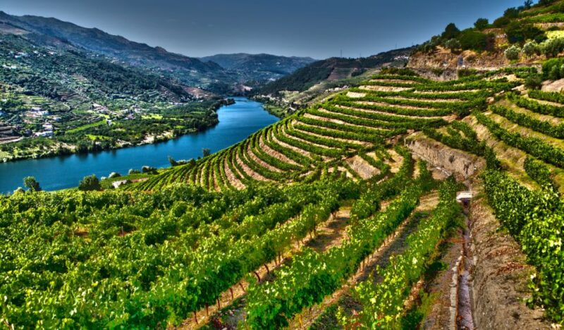 Douro Valley Private Tour With 2 Wine Tastings - Experience Highlights