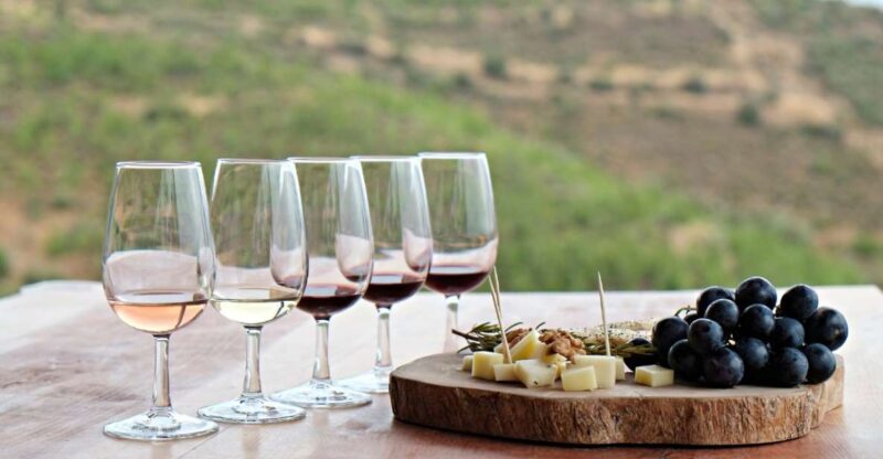 Douro Valley Private Tour With 2 Wine Tastings - Itinerary Details