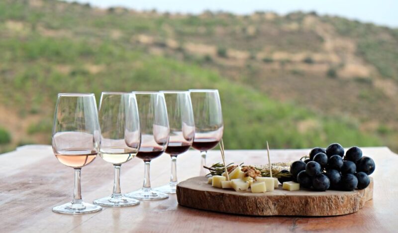 Douro Valley Private Tour With 2 Wine Tastings - Inclusions